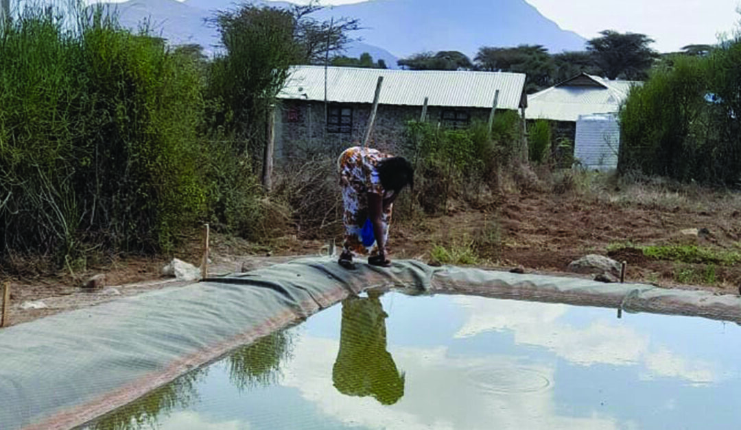 Learning Aquaculture Yields a New Type of Crop