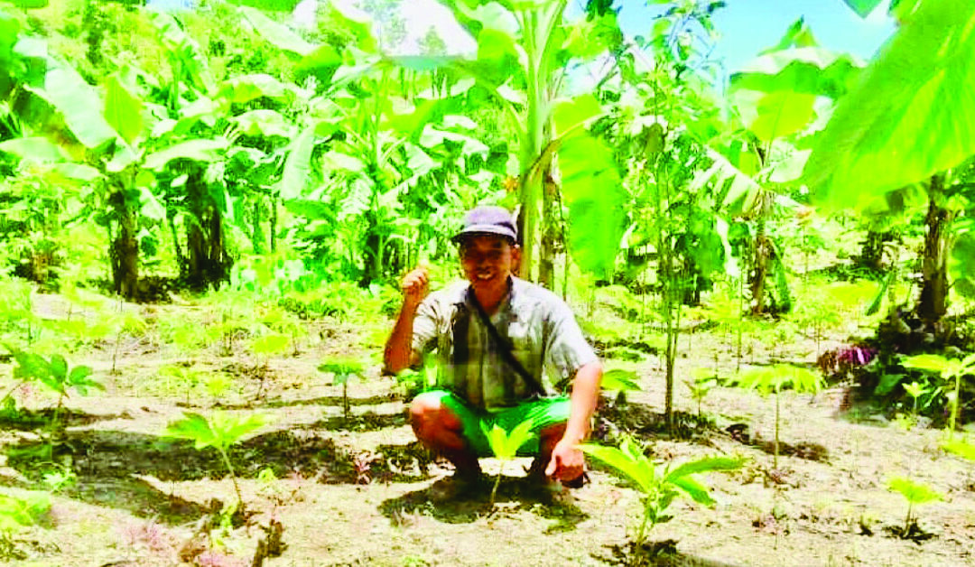 Returning to the Fields Inspires Hope