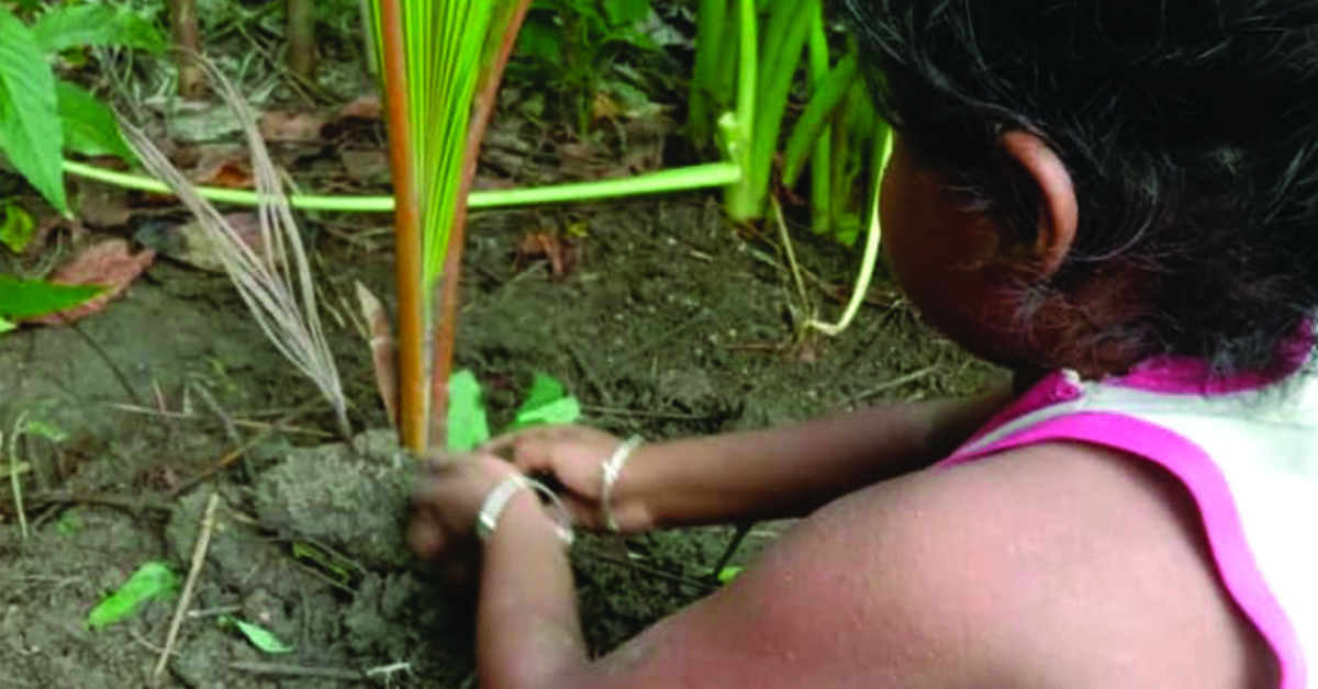 A girl planting a sapling