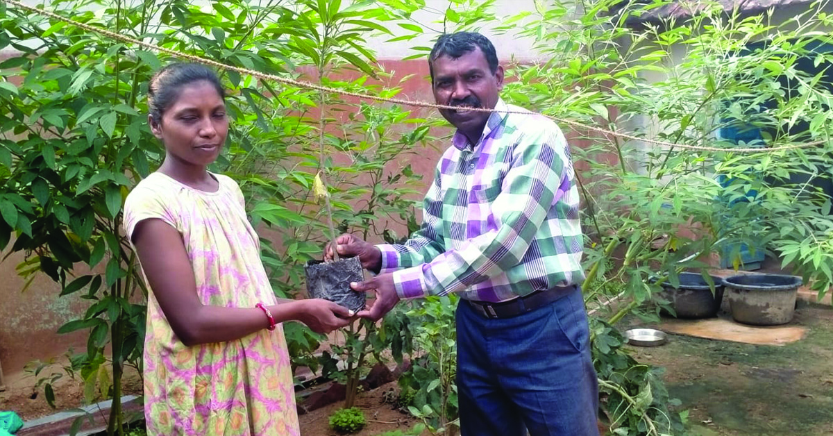 TCD worker, Babujan, and a native India woman holding a fruit plant.