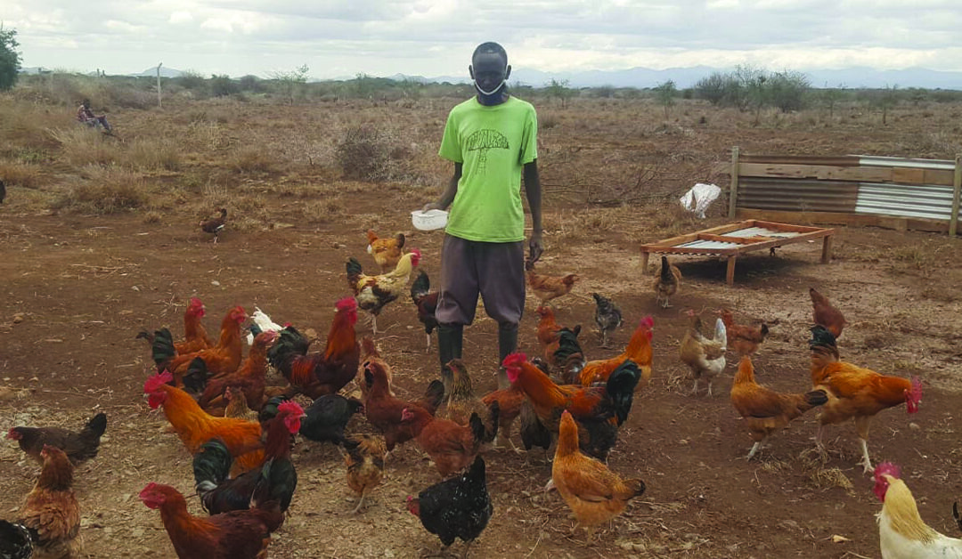 A Growth-Mindset Leads to Chicken Farming