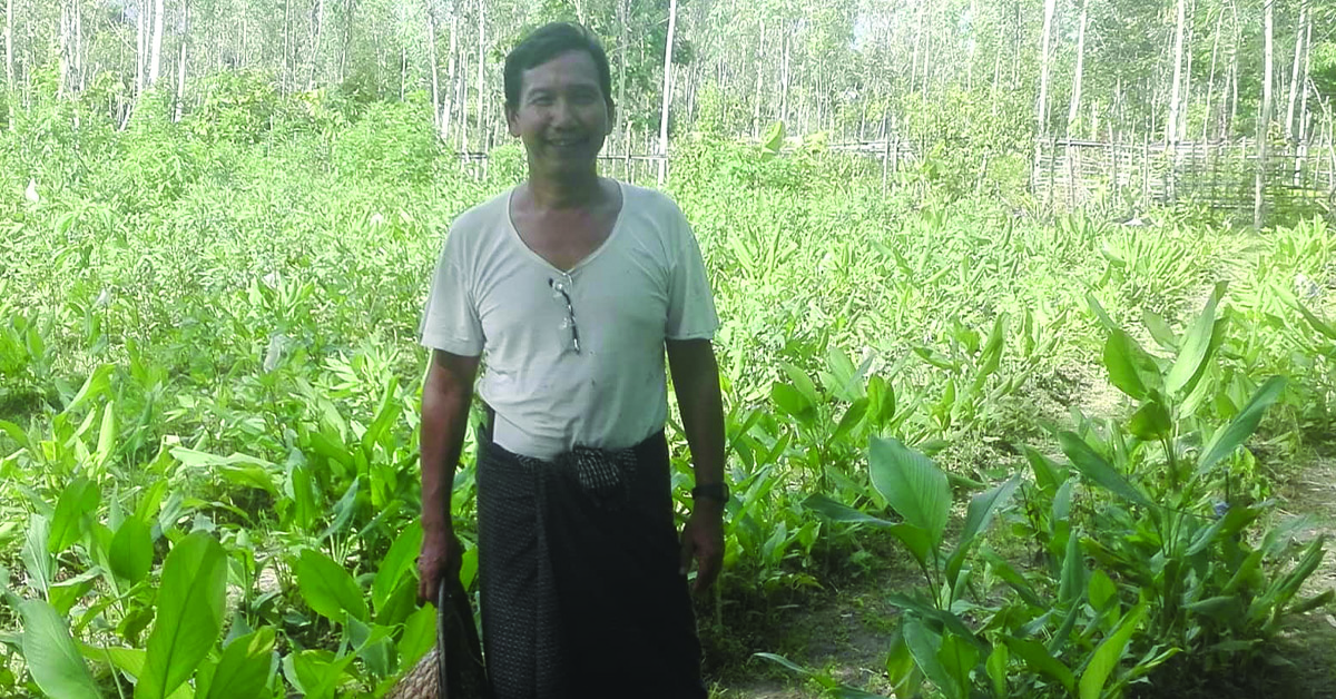 A Myanmar villager with plantation field