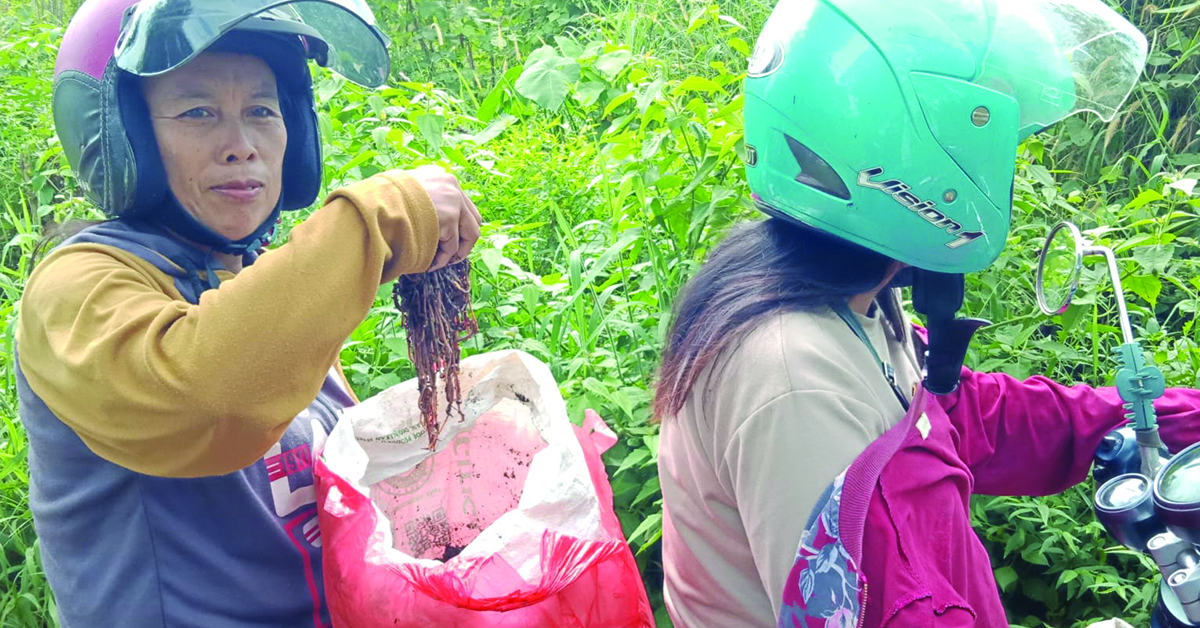 A pair of Indonesian women on a motorbike.