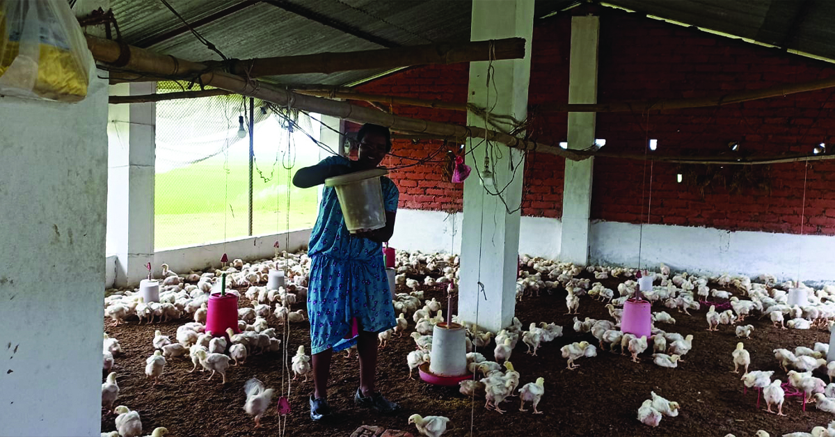 A Nepal woman and her chicken farm.
